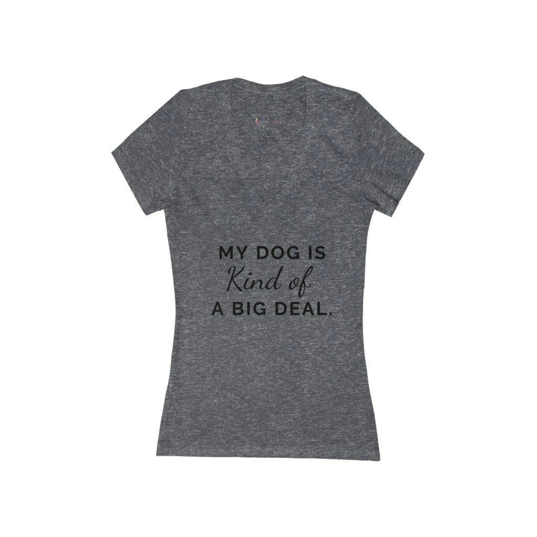 My dog is kind of a big deal- Women's Jersey Short Sleeve Deep V-Neck Tee